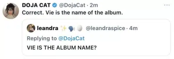 doja cat vie album tgj