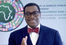 Why I rejected U.S. citizenship – Akinwunmi Adesina