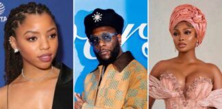 Chloe Bailey unfollows Burna Boy