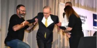 Australia PM Albanese falls off stage during election campaign event