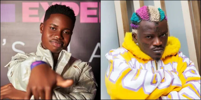 Peller Portable Peller Portable