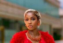 Efe Irele Reportedly Welcomes First Child