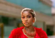 Efe Irele Reportedly Welcomes First Child