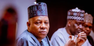 Nataro Urges VP Shettima to Step Aside Ahead of 2027 Election