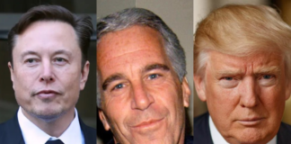 Elon Musk Alleges Donald Trump Is Named in Unreleased Jeffrey Epstein Files