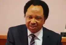 Shehu Sani Slams Opposition Leaders