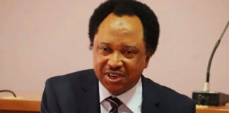 Shehu Sani Slams Opposition Leaders