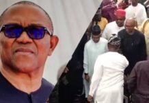 2027: ADC Welcomes Peter Obi Following Defection from Labour Party Peter Obi, Atiku, El-Rufai, Others Unite Under ADC Platform to Challenge APC in 2027