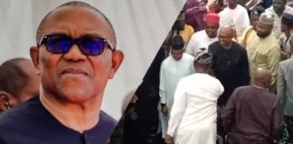 Peter Obi, Atiku, El-Rufai, Others Unite Under ADC Platform to Challenge APC in 2027