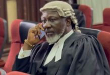 Dino Melaye makes first court appearance as lawyer