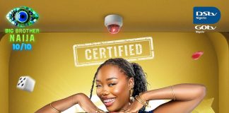 Ibifubara BBNaija Biography, Age, State Of Origin, Parents, Wikipedia, Net Worth