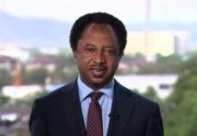 Shehu Sani Fires Back at UK Minister Kemi Badenoch