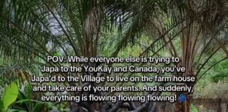 Eva Alordiah Relocates to Her Village