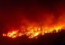 Canada Wildfires Scorch 13.6 Million Acres in 2025 as Climate Concerns Deepen
