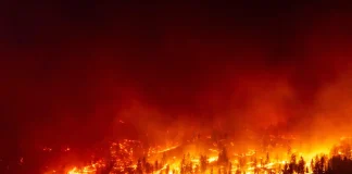 Canada Wildfires Scorch 13.6 Million Acres in 2025 as Climate Concerns Deepen