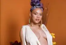 Sho Madjozi Welcomes First Child