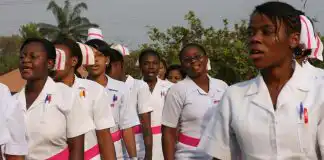 nurses