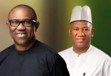 Datti Baba-Ahmed Open to Running With Peter Obi Again