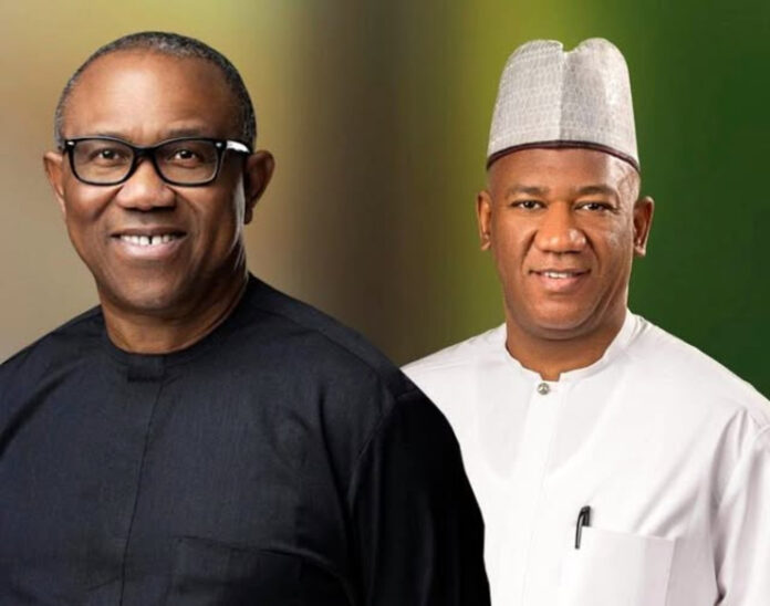 Datti Baba-Ahmed Open to Running With Peter Obi Again