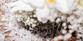 Chioma Adeleke Returns