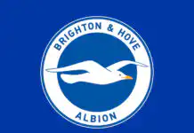 Brighton Fan, 72, Dies After Falling Ill During Premier League Opener