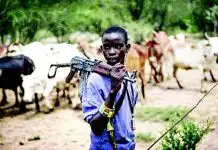Fulani Militants Allegedly Occupy Seven Villages in Plateau State, Displace Thousands — Community Leader Cries Out