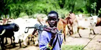 Fulani Militants Allegedly Occupy Seven Villages in Plateau State, Displace Thousands — Community Leader Cries Out