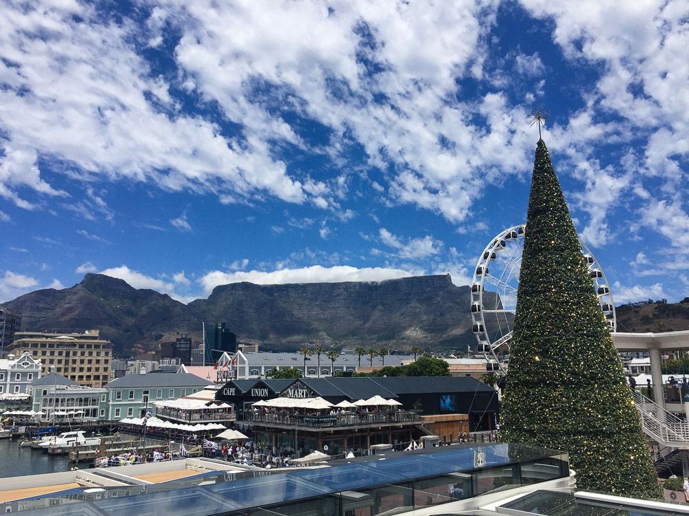 Christmas in cape-town south africa