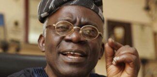 Femi Falana