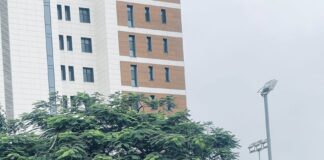 Hilda Baci Attempts New Guinness World Record at Jollof Festival