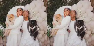 DJ Cuppy’s Dogs Send Hilarious Message to Temi Otedola After Wedding to Mr Eazi