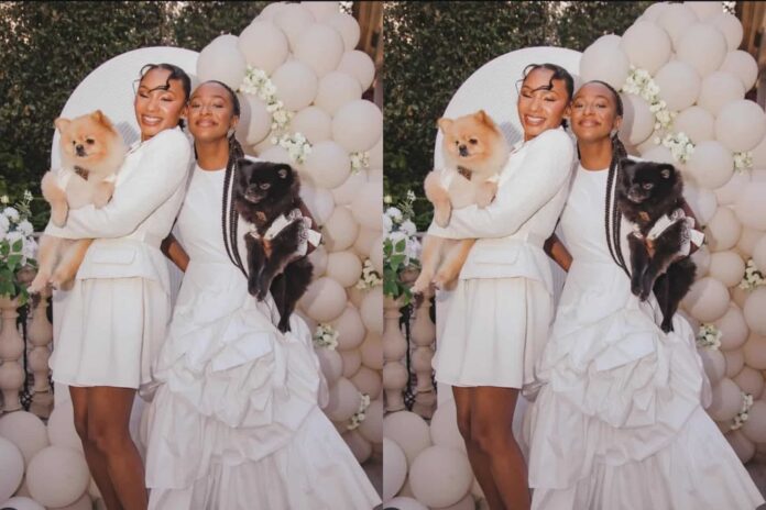 DJ Cuppy’s Dogs Send Hilarious Message to Temi Otedola After Wedding to Mr Eazi DJ Cuppy’s Dogs Send Hilarious Message to Temi Otedola After Wedding to Mr Eazi
