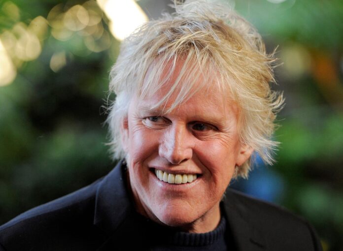 Gary Busey Sentenced to Two Years Probation After Guilty Plea in Misconduct Case