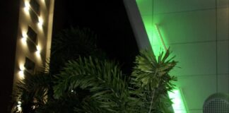 Phyna Reflects on Self-Love