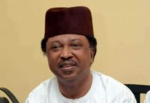 “Everything happening now is dictatorships" - Shehu Sani Laments