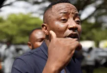 Omoyele Sowore Arrested by Armed Police After Court Appearance for Nnamdi Kanu
