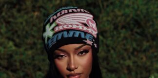 2026 GRAMMY Awards: Burna Boy, Davido, Ayra Starr, Wizkid, and Tyla Shine in Best African Music Performance Category