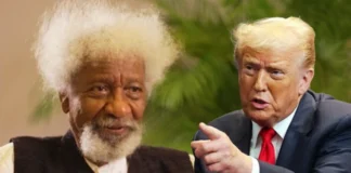 Soyinka Condemns Trump’s “Reckless” Remarks on Nigeria