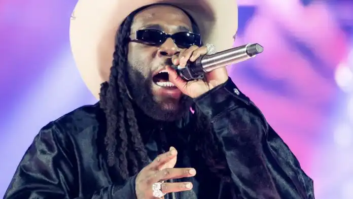 Burna Boy Stops Colorado Concert to Wake Sleeping Fan and Girlfriend