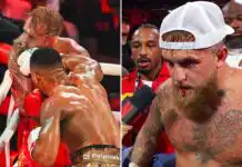 Why I lost to Anthony Joshua – Jake Paul