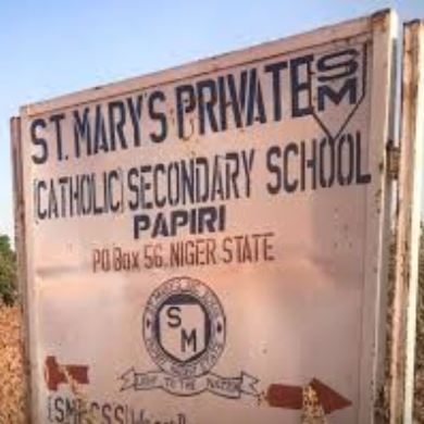 Abducted St Mary’s Schoolchildren in Niger State regain freedom Abducted St Mary’s Schoolchildren in Niger State regain freedom