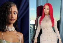 Tyla Sparks Online Backlash After Allegedly Endorsing Anti-Nicki Minaj Post