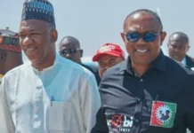 2027: If you don’t get ADC ticket, come back to Labour Party, I’ll support you – Datti Baba-Ahmed tells Peter Obi Datti Baba-Ahmed tells Peter Obi