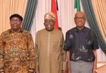 Tinubu Steps In Again as Fubara–Wike Rift Deepens in Rivers