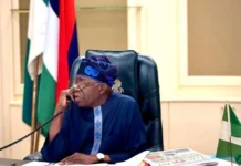 AFCON 2025: “You have the backing of all Nigerians” – Tinubu Congratulates Super Eagles After AFCON Quarter-Final Victory Tinubu Congratulates Super Eagles After AFCON Quarter-Final Victory