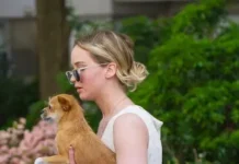 Jennifer Lawrence Faces Backlash After Rehoming Dog That Bit Her Son Jennifer Lawrence Faces Backlash After Rehoming Dog That Bit Her Son