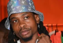 Yhemolee Blames Seun Kuti for Online Clash