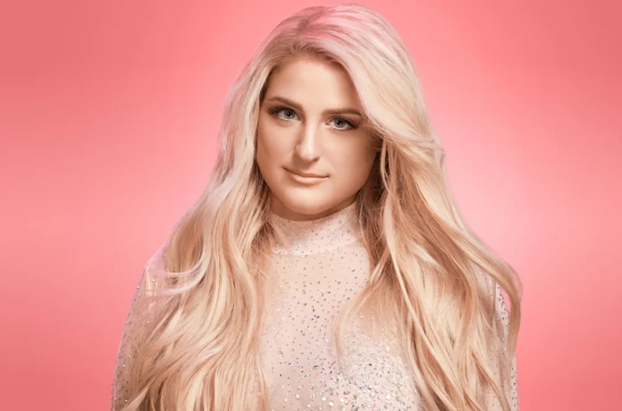 Meghan Trainor Welcomes Third Child via Surrogate