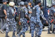 Nigeria Police Dismiss Viral Katsina Video, Say Men Seen With Officer Are Vigilantes, Not Bandits