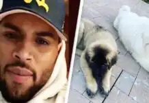 Chris Brown Ordered to Pay $13 Million After Ex-Housekeeper Wins Dog Attack Lawsuit Chris Brown Ordered to Pay $13 Million After Ex-Housekeeper Wins Dog Attack Lawsuit